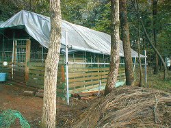 PA09taihuu3.jpg